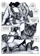 Chattes et autres felins : page 4