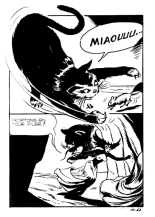 Contes Malicieux 12 - Le Châtiment de Naga : page 67