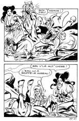 Contes Malicieux 40 - L'enlèvement au bercail par John : page 44