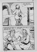 Elvifrance - Contes satyriques - 022 - Le sot royal : page 39