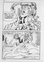 Elvifrance - Contes satyriques - 022 - Le sot royal : page 66