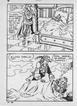 Elvifrance - Contes satyriques - 022 - Le sot royal : page 88