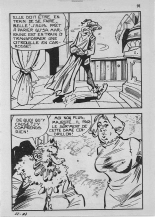 Elvifrance - Contes satyriques - 022 - Le sot royal : page 91