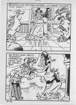 Elvifrance - Contes satyriques - 022 - Le sot royal : page 96