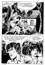 Elvifrance - Incube - 51 - Bestiaire : page 159