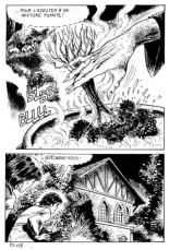 Elvifrance - Incube - 51 - Bestiaire : page 162