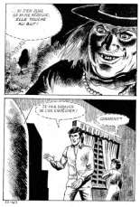 Elvifrance - Incube - 51 - Bestiaire : page 171