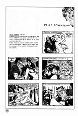 Elvifrance - Jungla - HS - Dossier : page 13