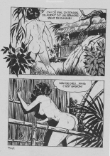 Elvifrance - Les cornards - 092 - La veuve bafouée : page 46