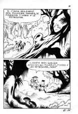 Elvifrance - Maghella - 048 - Le violon barbare : page 39