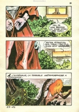 Elvifrance - Terrificolor - 049 - Jamasutra : page 85