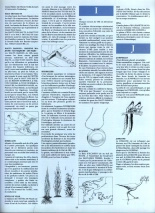 Le Cycle De Cyann - HS - la clé des confins : page 40