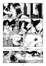 Le jardin de l'araignée : page 26