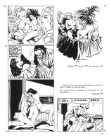 Manuel des confesseurs et Krafft-ebing en BD : page 135