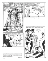 Manuel des confesseurs et Krafft-ebing en BD : page 222