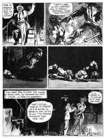 Polar Extrême : page 45