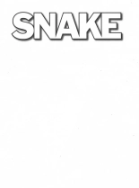 Snake : page 2